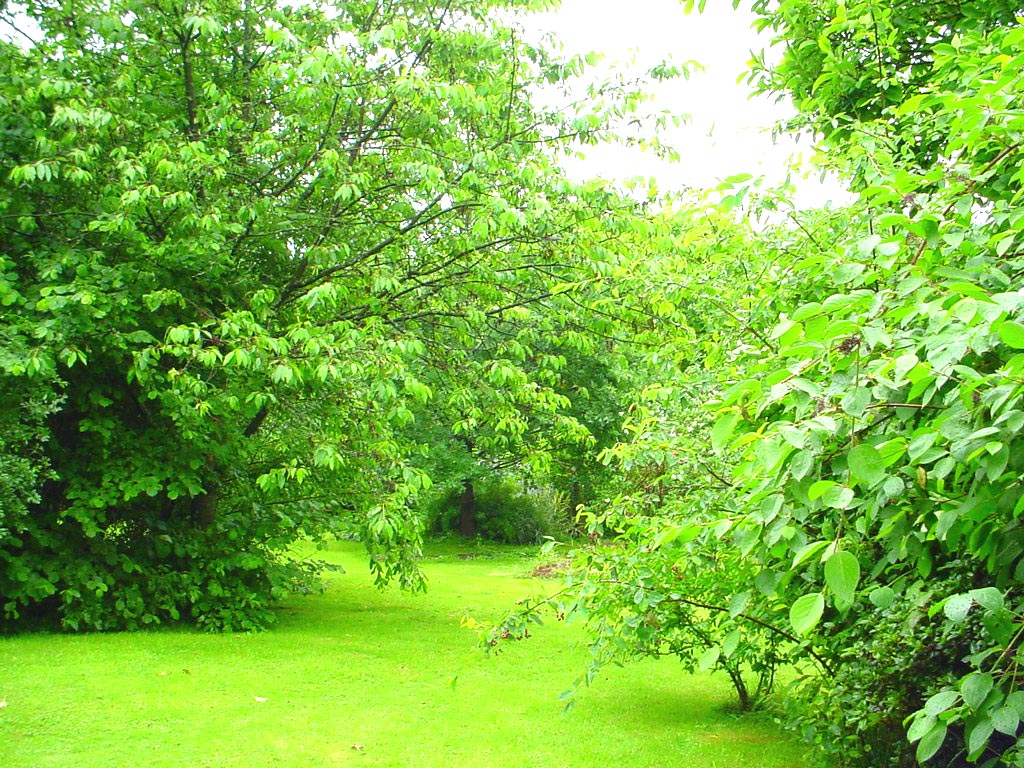 Blick auf Haus und Terasse