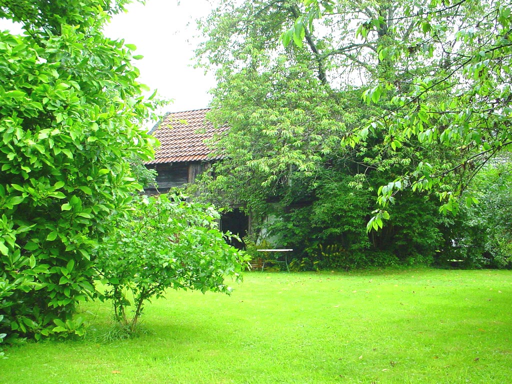 Blick auf Haus und Terasse